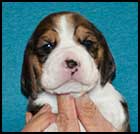 Girl 2 wk3